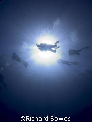 Divers.
Provo, Turks and Caicos by Richard Bowes 